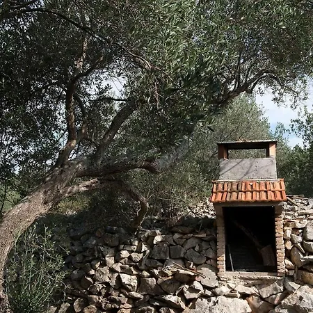 Tatil Evi House Petra